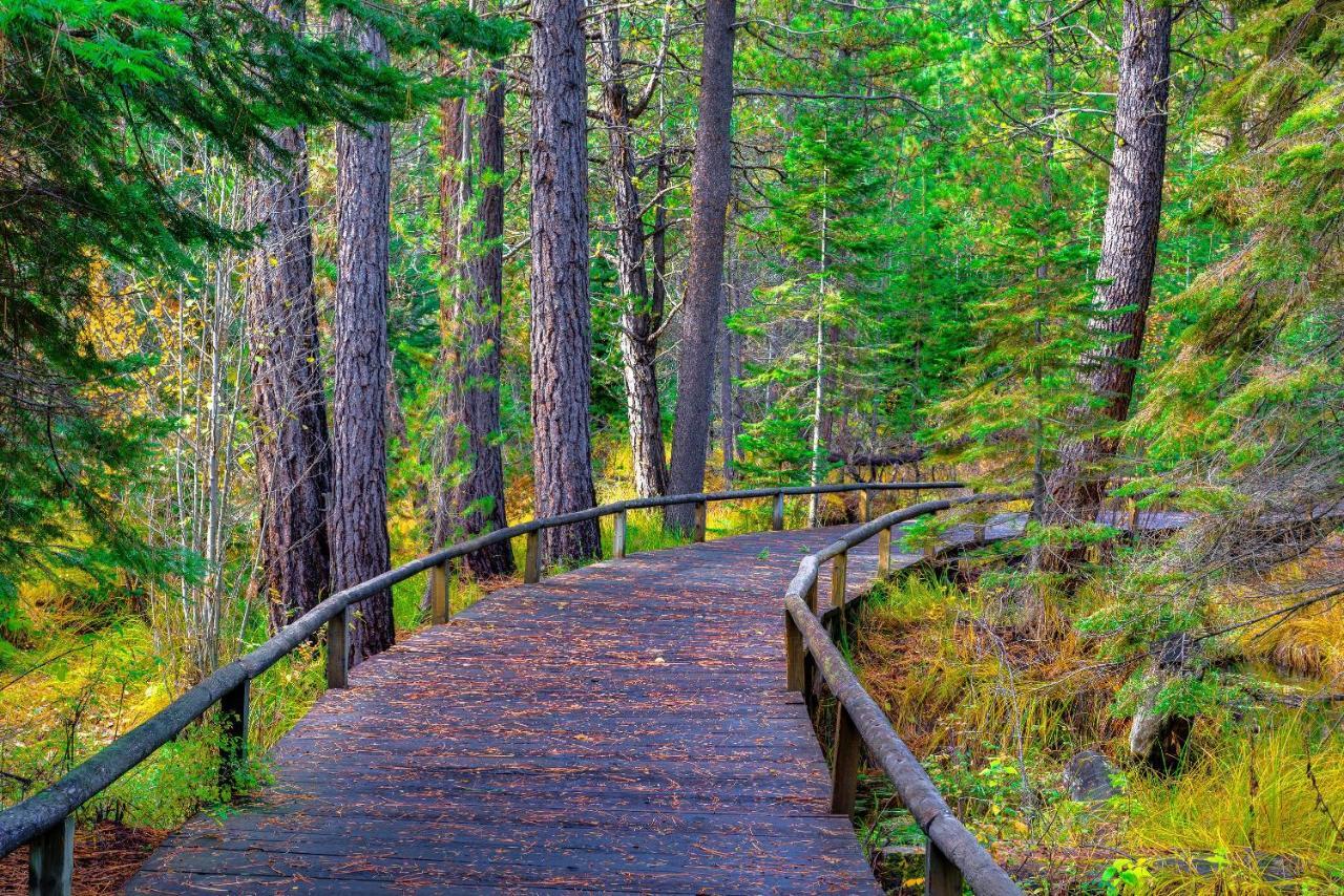 فيلا Black Butte Ranch: Partridge Foot Cabin Lot #Rr83 سيسترز المظهر الخارجي الصورة